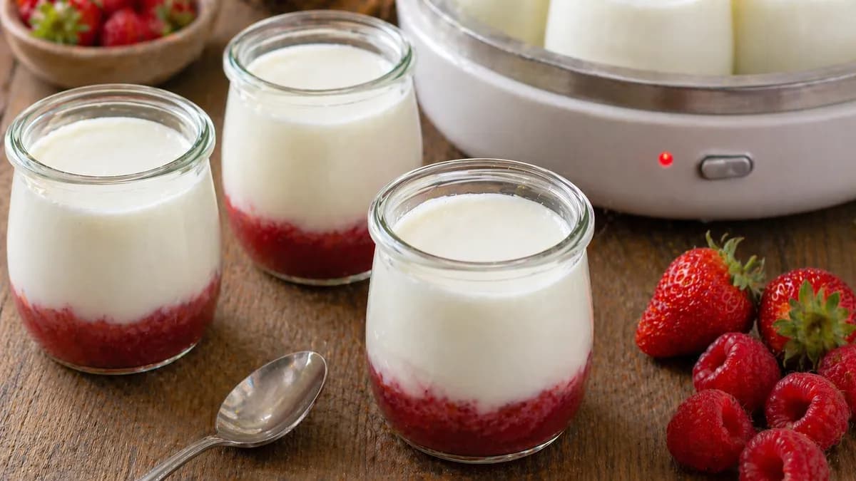 Recette Yaourts aux fruits mixés – plat principal