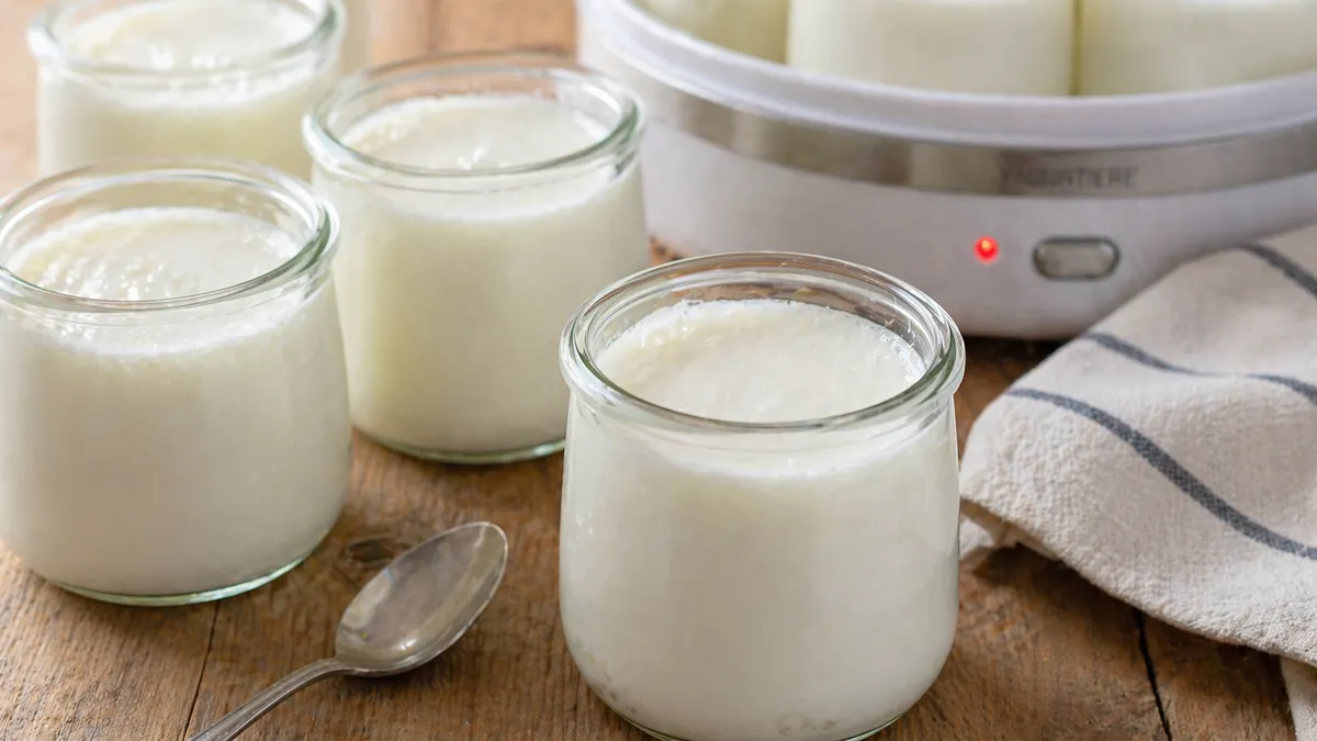 Recette Yaourts nature maison – plat principal